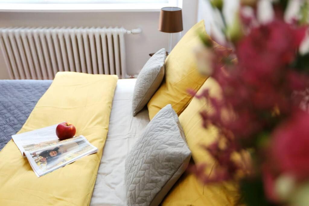 Batorego Cosy Apartment 克拉科夫 外观 照片